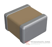 1111Y2001P50DQT Image